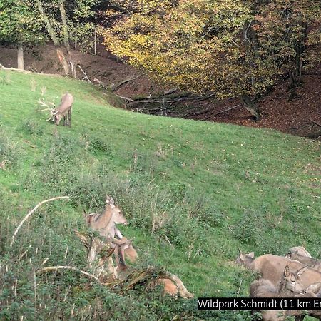 Eifel-Ferienhaus Landblick Hürtgenwald Buitenkant foto
