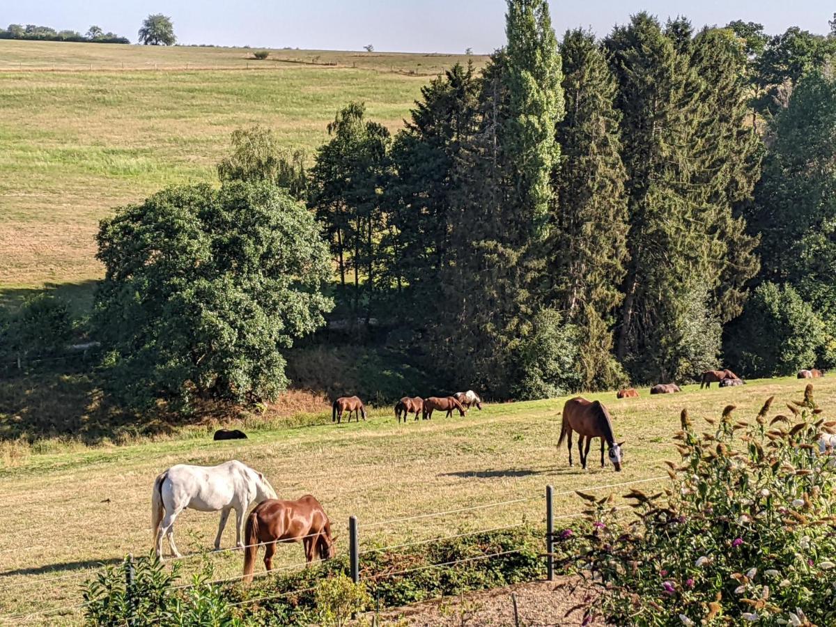 Eifel-Ferienhaus Landblick Hürtgenwald Buitenkant foto