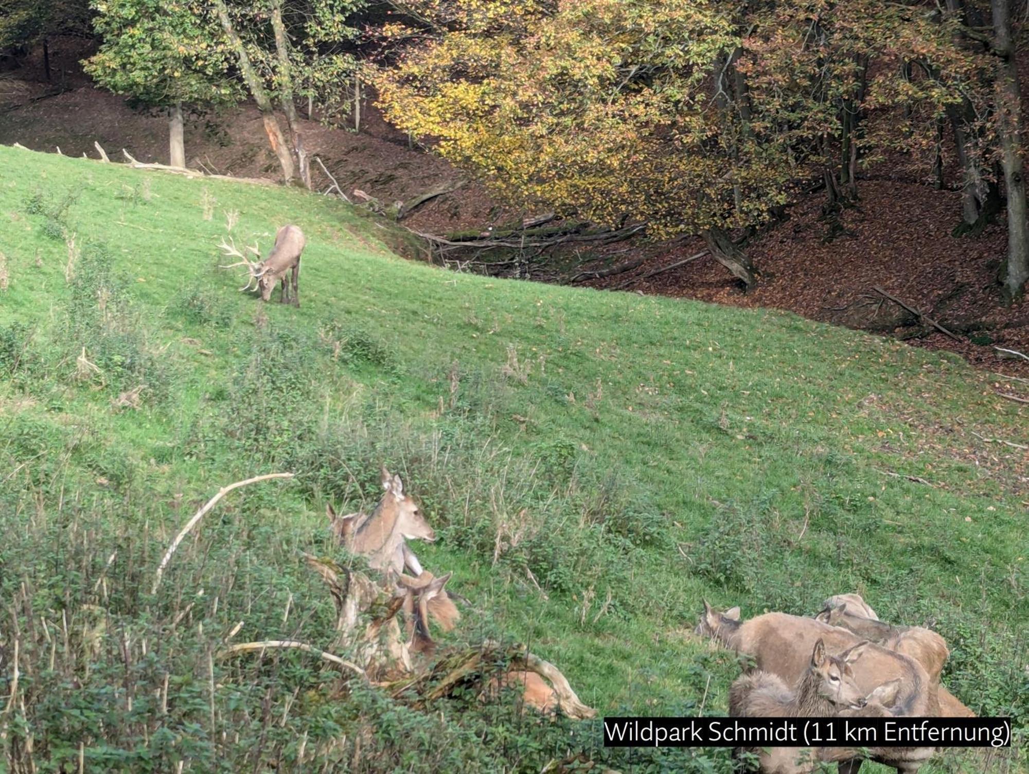 Eifel-Ferienhaus Landblick Hürtgenwald Buitenkant foto